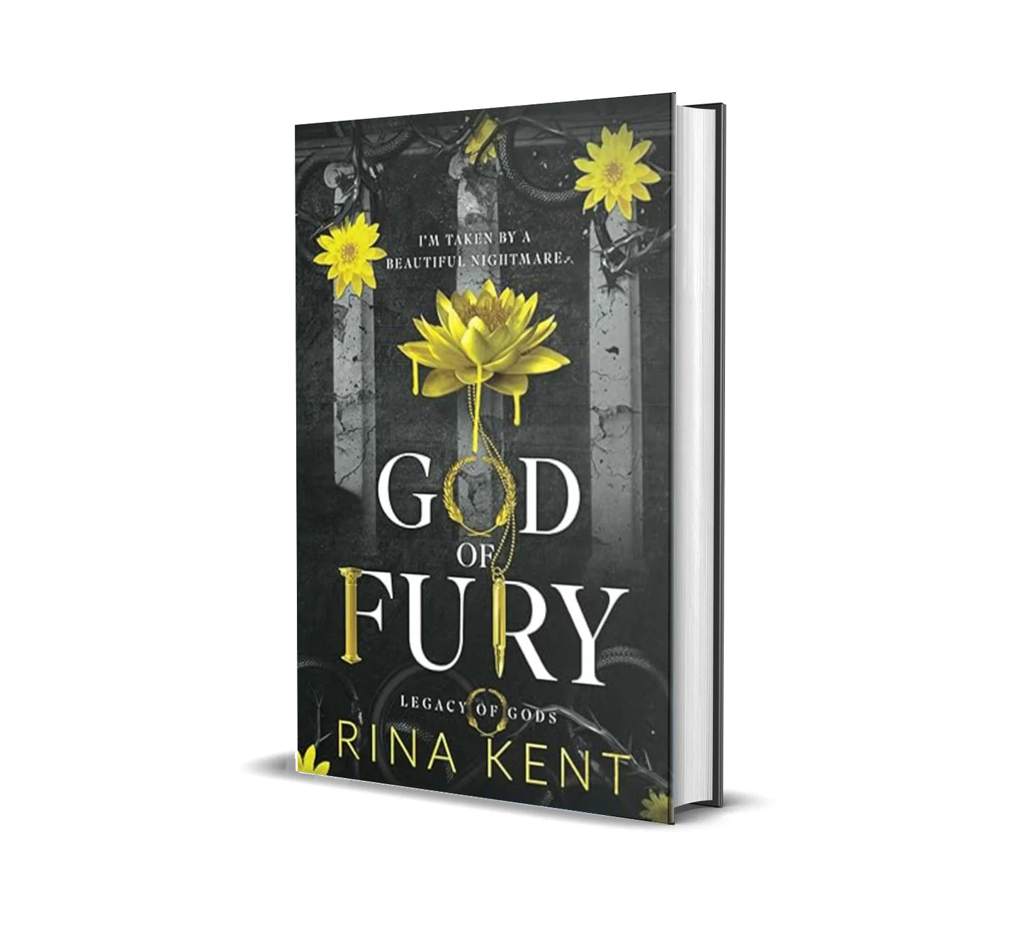 God of Fury (Legacy of Gods, #5) by Rina Kent